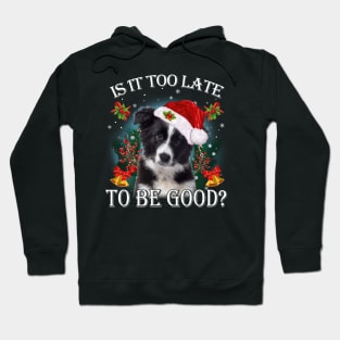 Santa Border Collie Christmas Is It Too Late To Be Good Hoodie